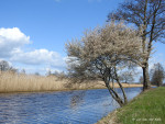 Zwolsekanaal